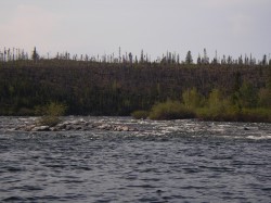 IMGP0160