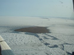 IMGP0178