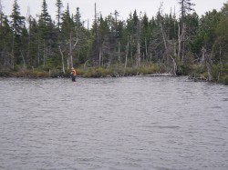IMGP0235