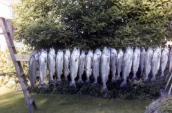 img002
