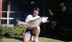 salmon3