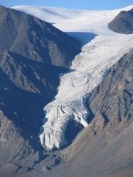 artic100