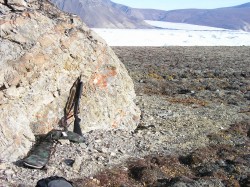 artic14