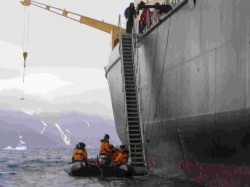 artic18