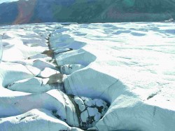 artic19