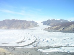 artic22