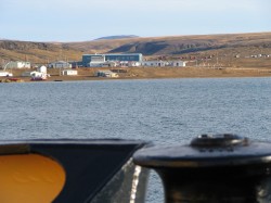 artic36