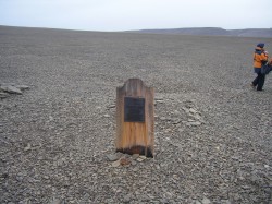 artic39