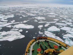 artic44