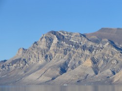 artic46