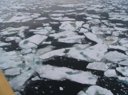 artic47