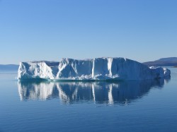 artic49