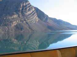 artic55