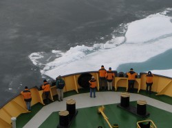 artic76