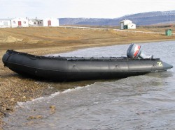 artic77