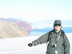 artic78