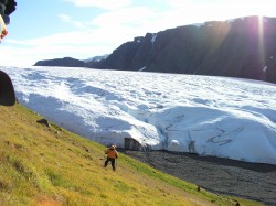 artic79
