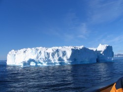 artic80