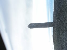 artic82