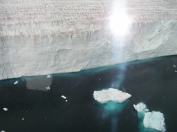 artic85