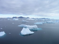 artic88