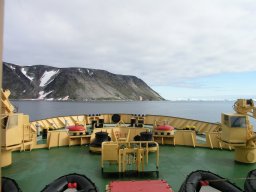 artic1