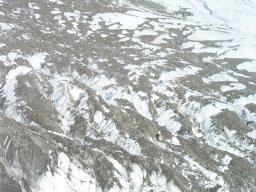 artic15