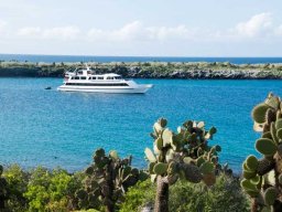 galapagos-harbor